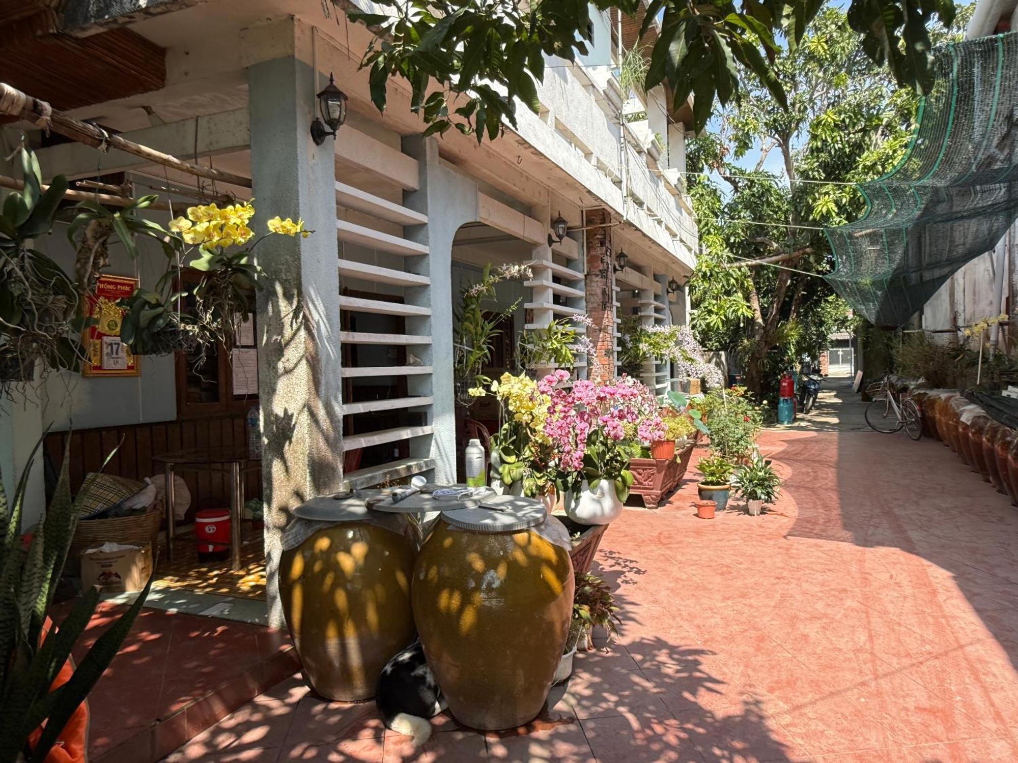 Island Homestay Tien Giang Mỹ Tho Extérieur photo